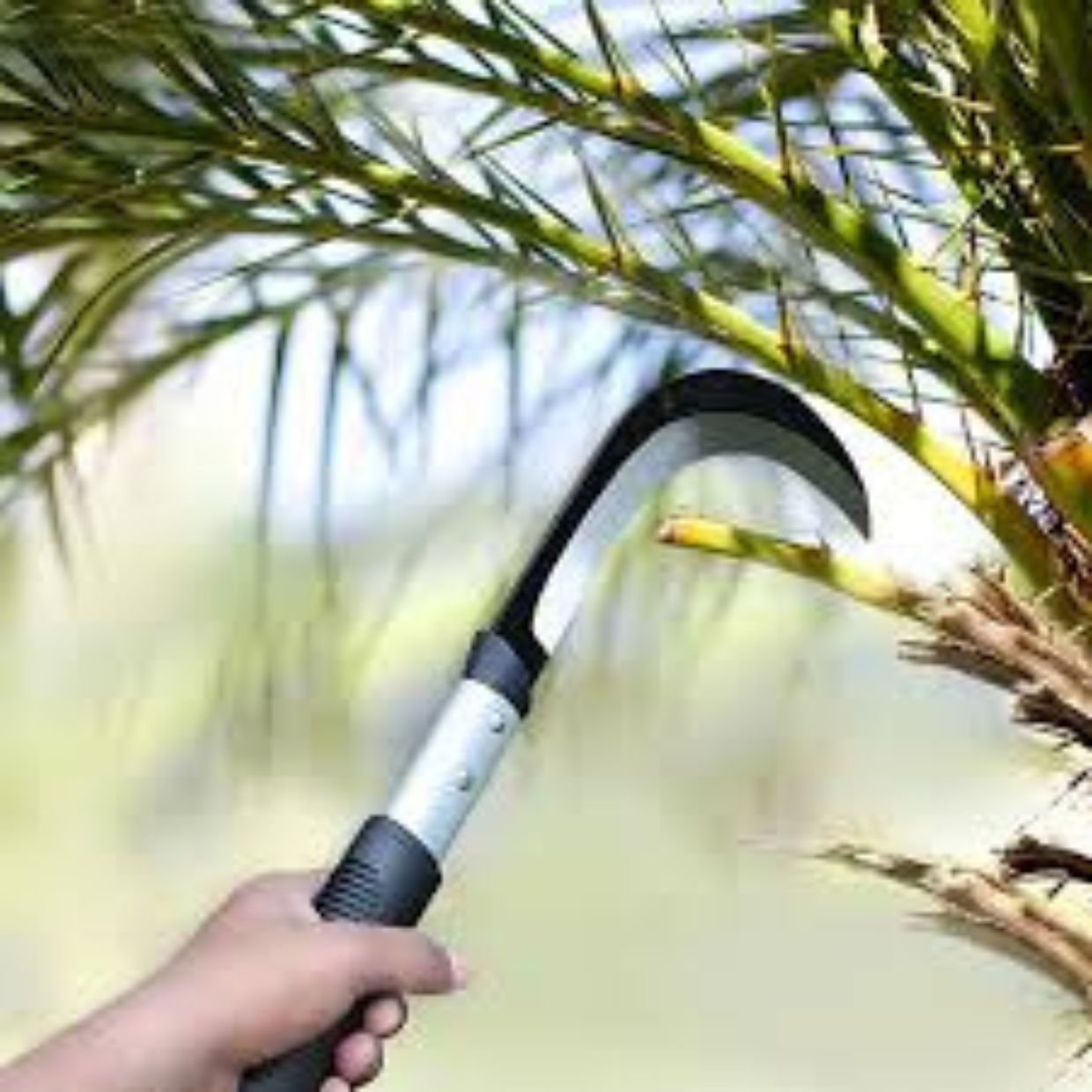 PALM PRUNER ( FPP-703 )