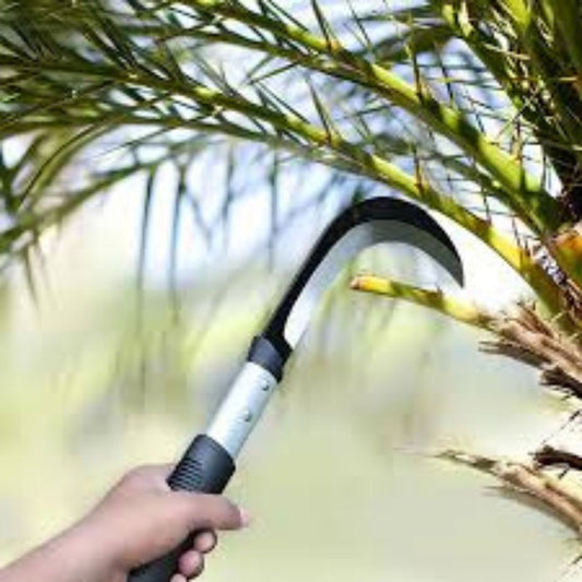 PALM PRUNER ( FPP-703 )